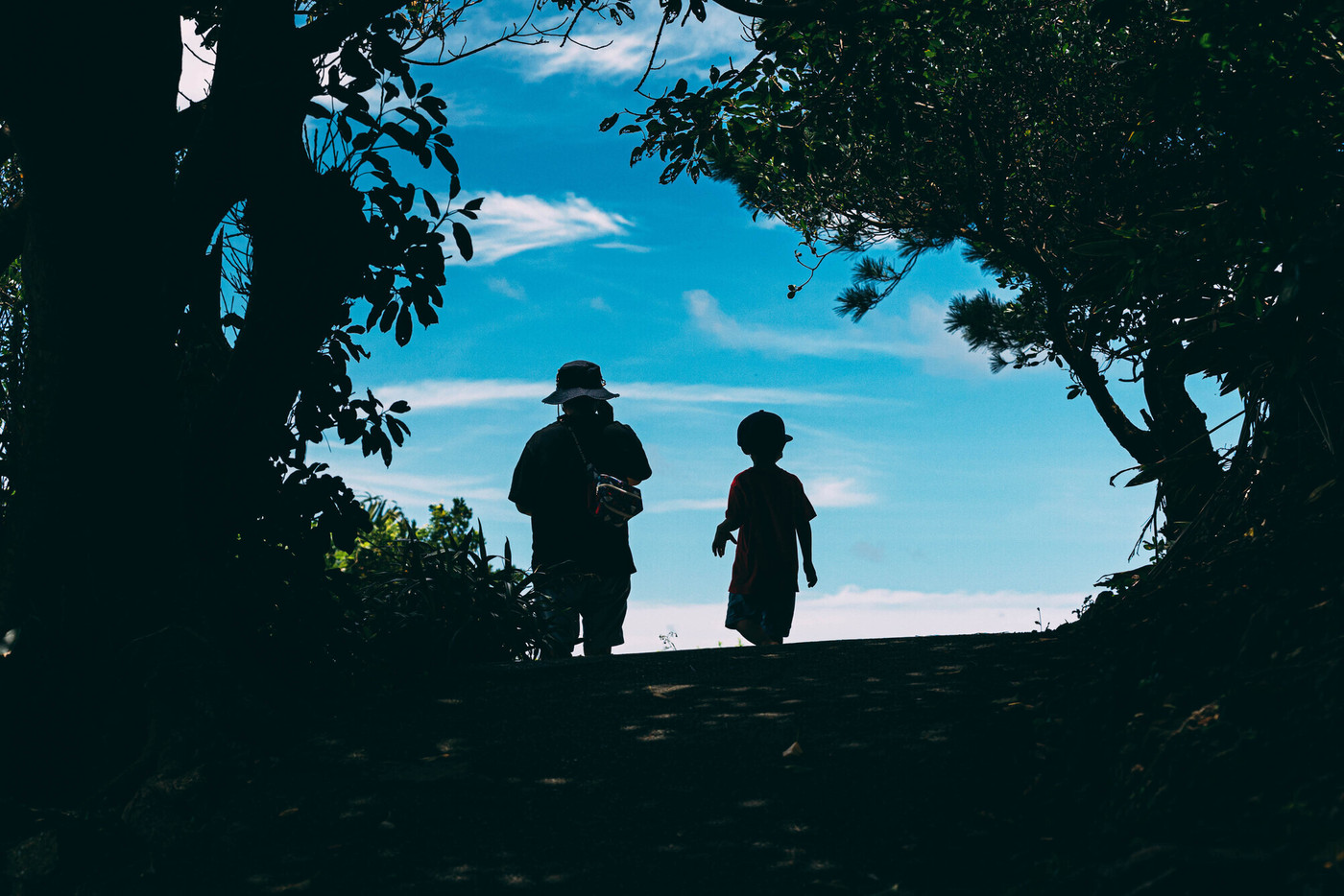 夏休みを楽しむ親子のシルエット