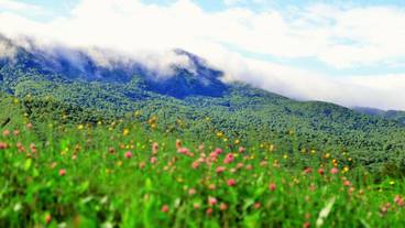 施設からの眺望 / 11