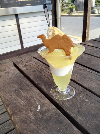 「鳥取砂丘にいちばん近いドライブイン砂丘会館 カフェコーナー」 料理 109918435 砂丘サンデー