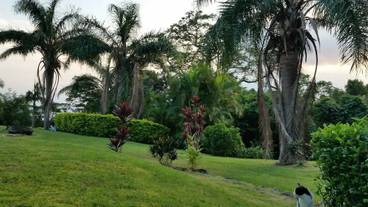 バルコニーからの眺望 / 19