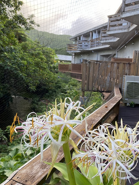 １F　レストラン脇のテラス　手前（後ろ側）隅に喫煙スペース有