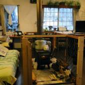 ペンション AURA（アウラ）（長野県 ペンション） / 3