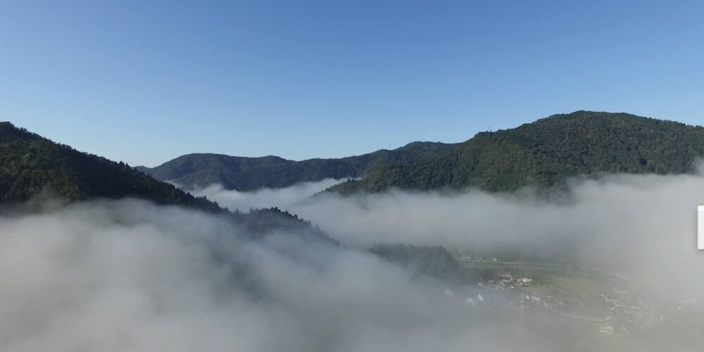 ランド ビュー