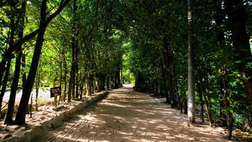 観光スポット / 6