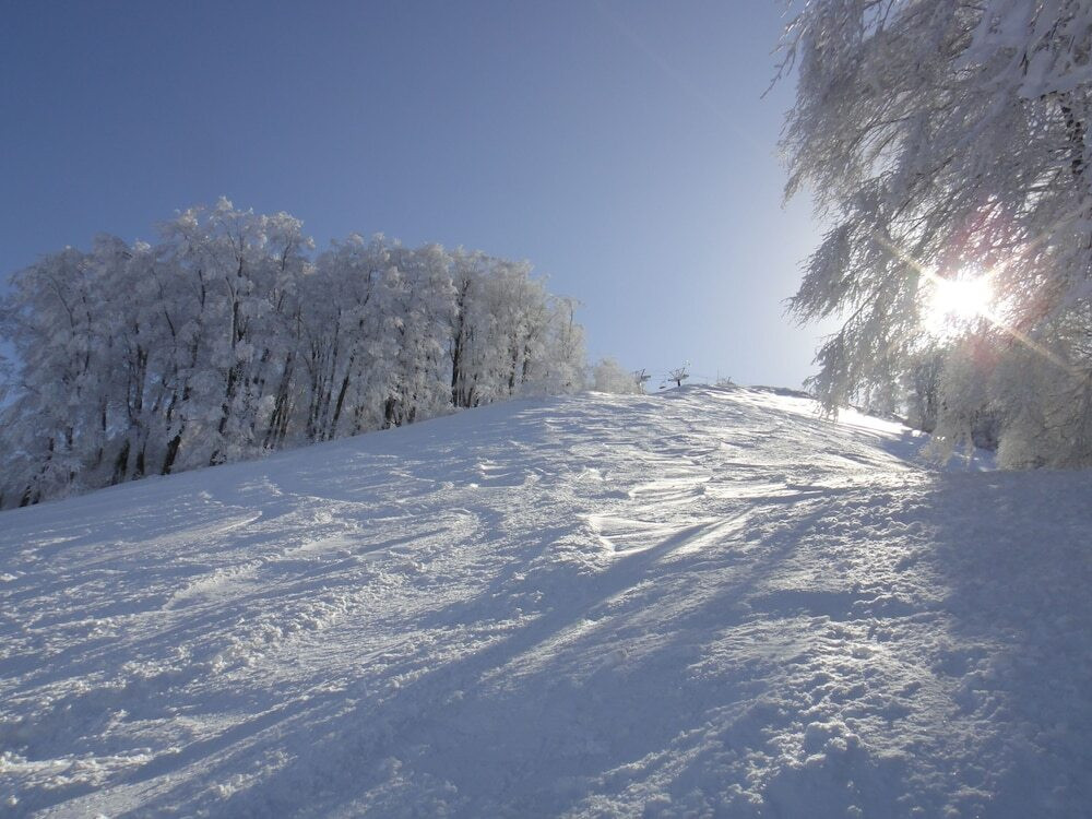 スノー スポーツとスキー