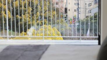 バルコニーからの眺望 / 12