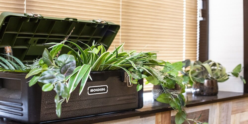 リビング エリア