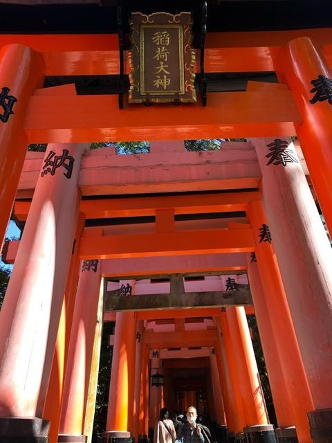 izm_ismさんの写真 / 1
