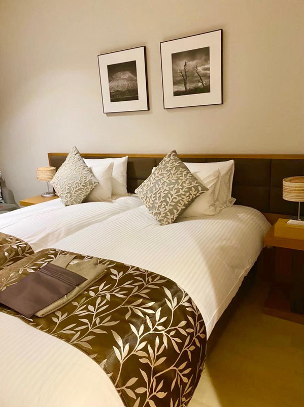 ol_syuttyo_gohaanさんの写真 / 2