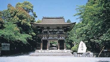 外観 / 7