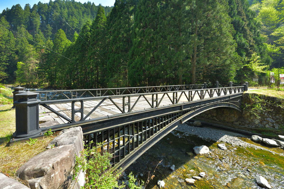 神子畑鋳鉄橋(2)