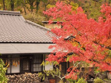 黒川温泉 源流の宿 帆山亭（離れ宿） / 2