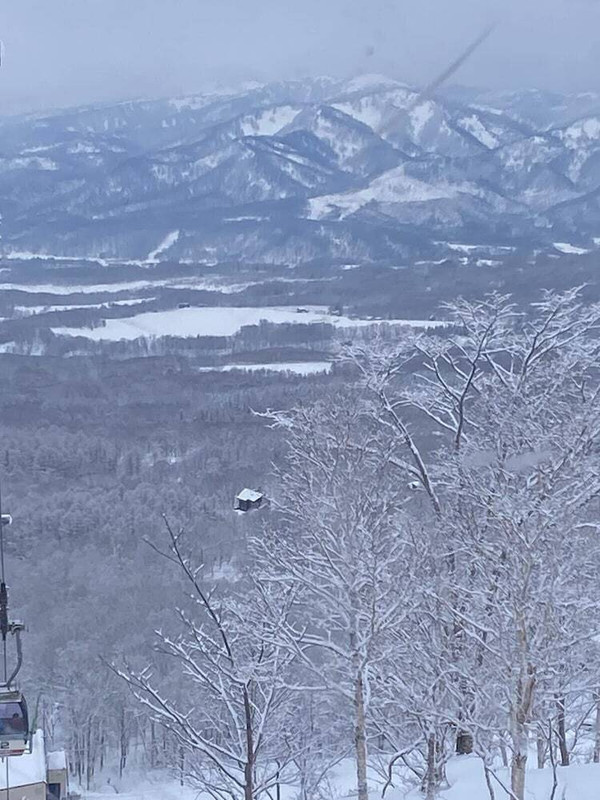 スノー スポーツとスキー