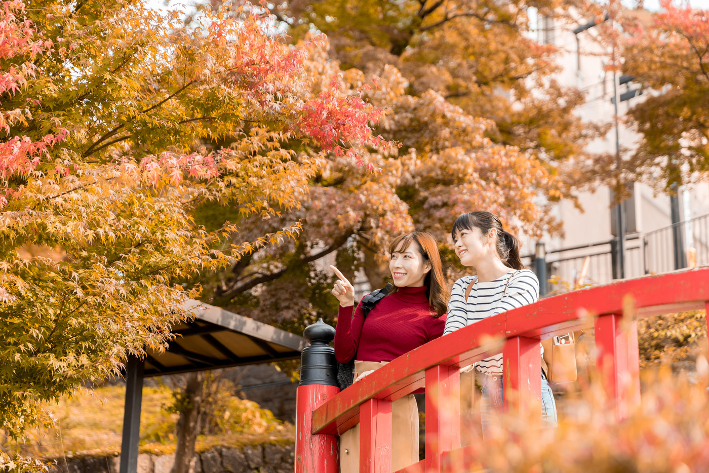 旅行イメージ　gotoトラベルキャンペーン