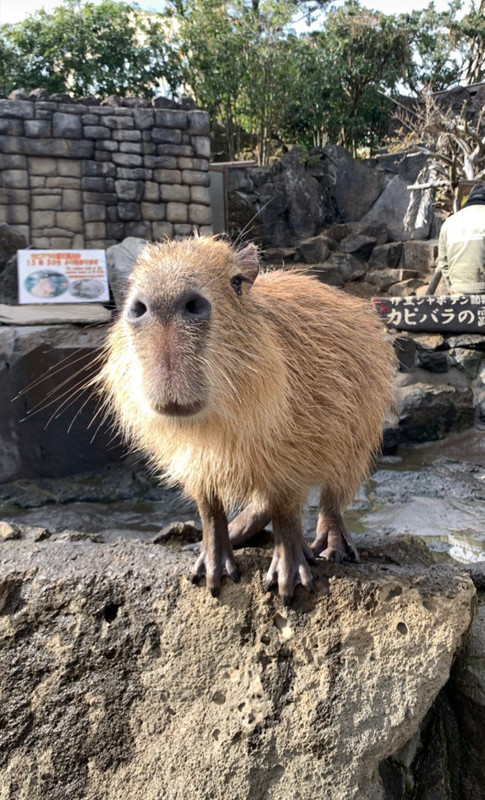 omaru_cafe_tripさんの写真 / 1