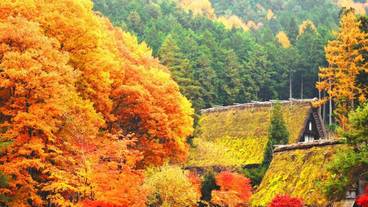 ランド ビュー / 9