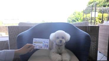 施設内の設備 / 3