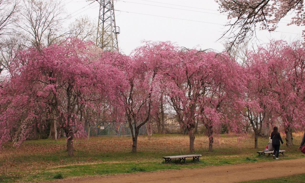 4.三神峯公園1559212