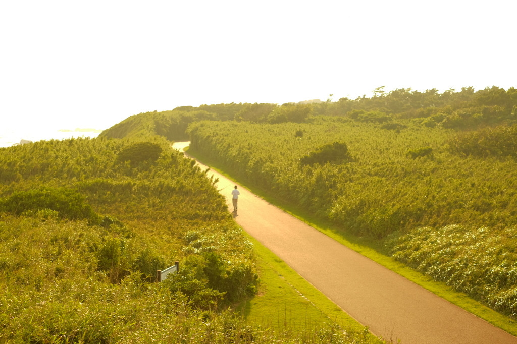 1. フォトスポットいっぱい！自然に癒される「城ヶ島」3924323
