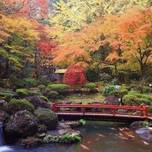 ドラマ「逃げ恥」のロケ地！修善寺温泉の旅館「SORA」が素敵！
