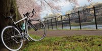 京都観光を自転車に乗って楽しもう♪おすすめコース＆スポット