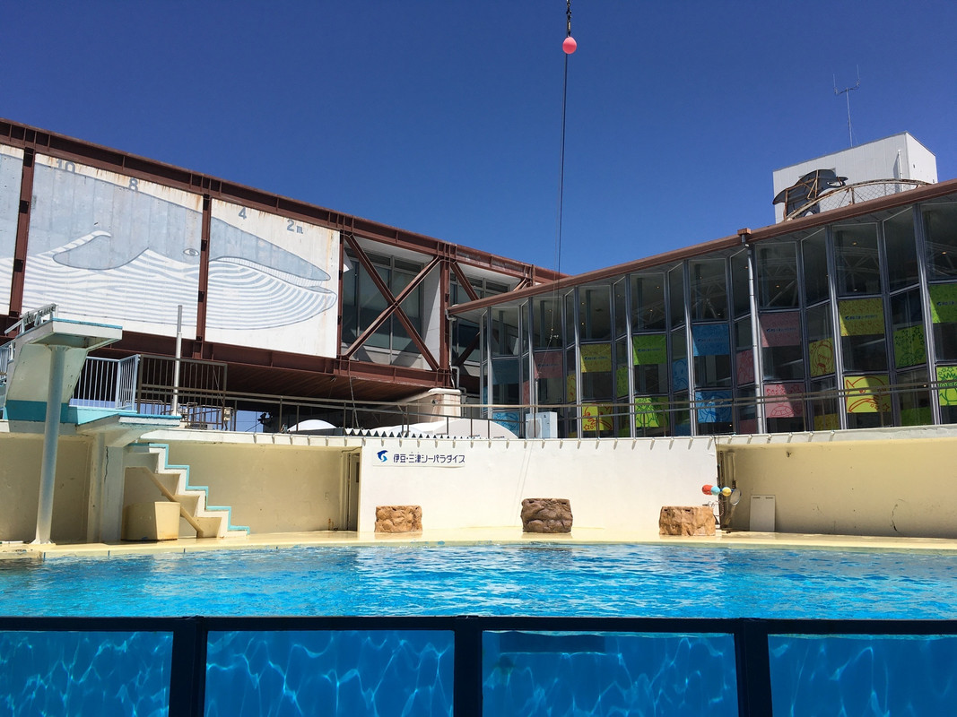 伊豆 三津シーパラダイス