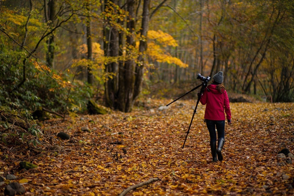岐阜県で一人旅にぴったりの宿を見つけよう3479462