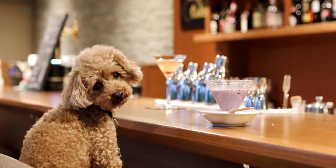 レジーナリゾート軽井沢御影用水（長野県 リゾートホテル） / 1