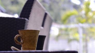 ペット同伴可 / 3