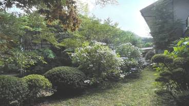 庭園 / 20