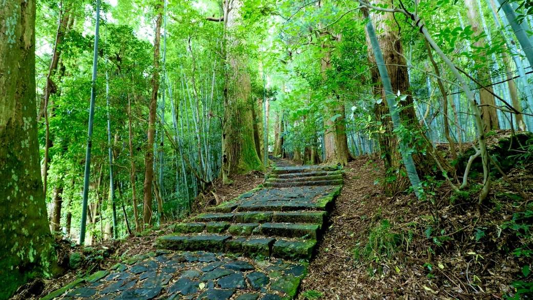 熊野古道大門坂 / 3
