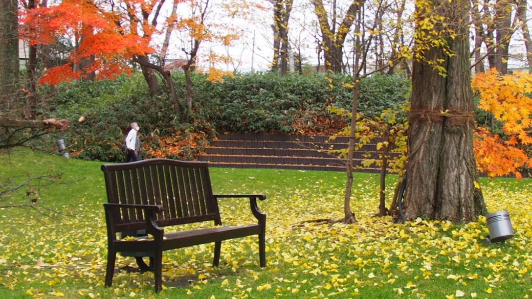 秋の中庭の風景 / 4