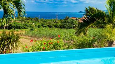 ビーチ / オーシャン ビュー / 8