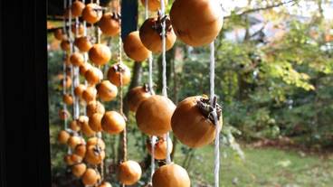 食事・飲み物 / 1