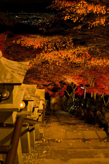 昼も夜も美しい「大山寺のもみじ祭り」4081859