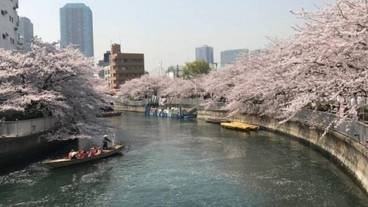 シティ ビュー / 11