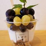 三ッ星甘実 しぜん堂（ミツボシカンミシゼンドウ）