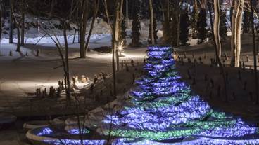 エプイボタニカルガーデン④ / 8