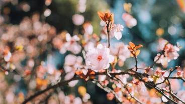 施設からの眺望 / 20