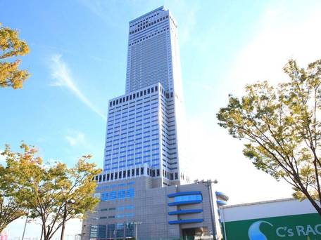 スターゲイトホテル関西エアポート / 1