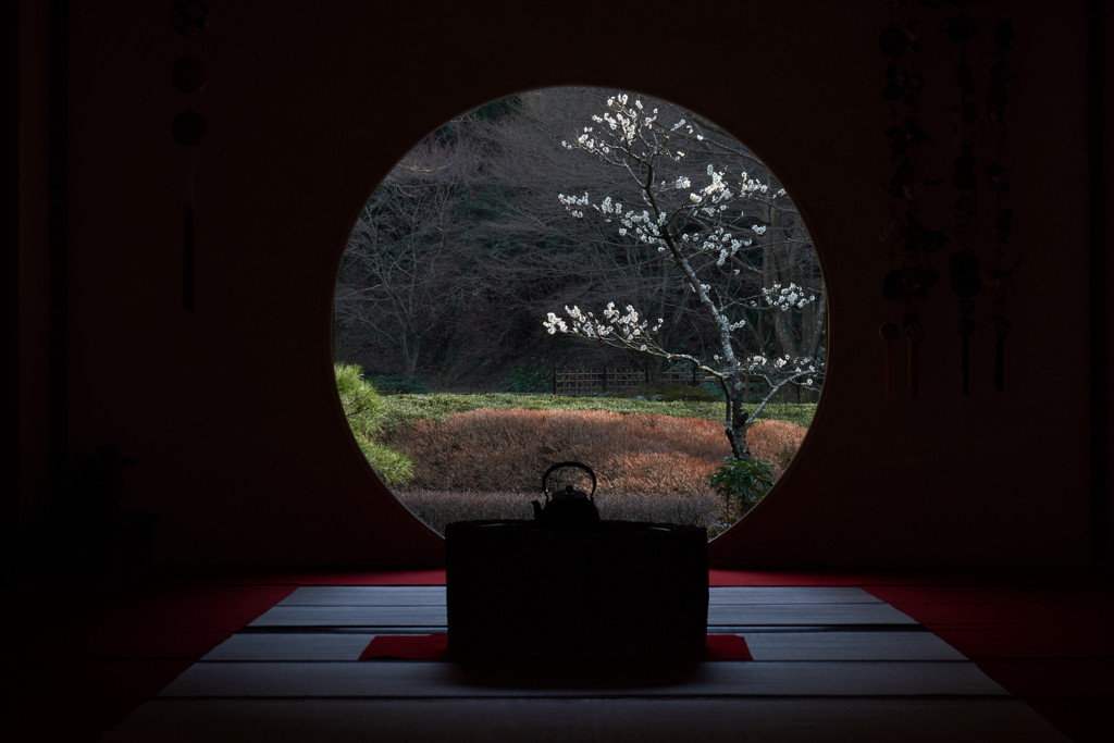 冬の「明月院」2286446