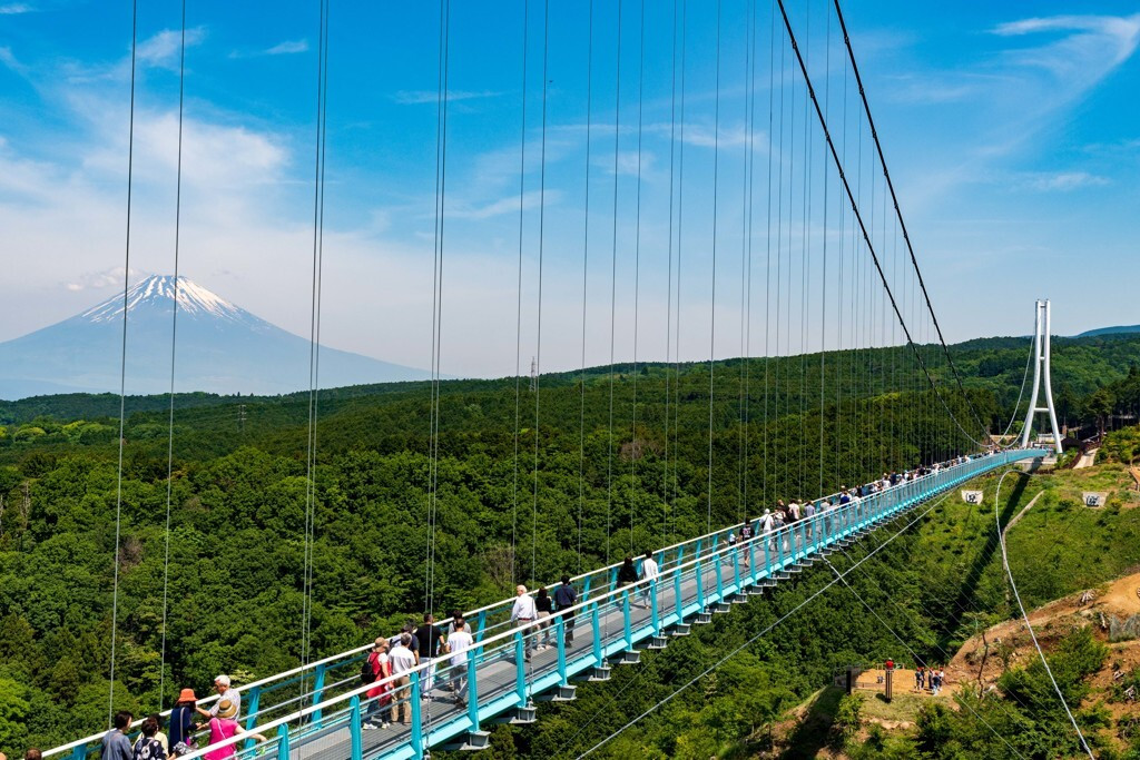 富士山の絶景に海の幸…♪三島でリフレッシュ女子旅！3501857