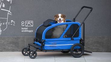 ペット用設備・サービス / 6