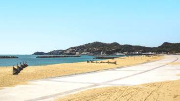 観光スポット / 12