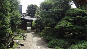 メイン イメージ / 1