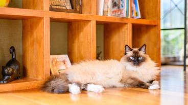 施設内の設備 / 18