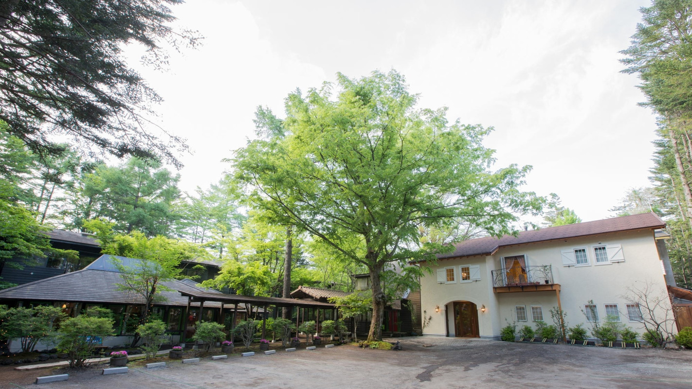 オーベルジュ・ド・プリマヴェーラ（オーベルジュ ド プリマヴェーラ） / 2