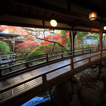 池を眺めてのんびり。風流な渡り橋3481027