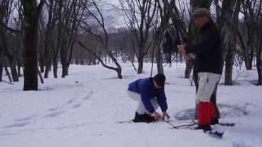 スノー スポーツとスキー / 9