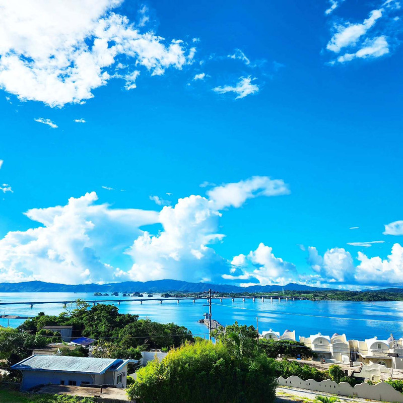 catharsist.kさんの写真 / 1